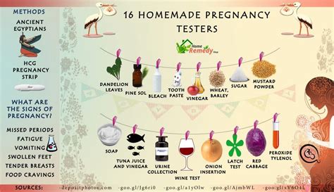 16 homemade pregnancy tests to try out home remedies