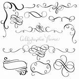 Vector Calligraphy Eps10 Flourish Whorls Decorative Illustration Vintage Set Vecteezy sketch template