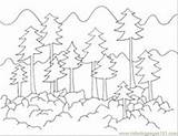 Forest Coloring Pages Printable Scene Kids Animal Color Colouring Adults Trees Getcolorings Print Rainforest Animals Tree Colorings Printablecolouringpages sketch template