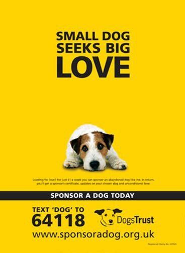 sponsor  dog  dogs trust uk adoption  dog adoption animal adoption fundraising