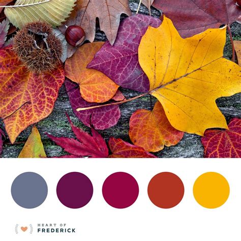 beautiful fall leaves color palette frederickweddingscom