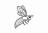 Bee Coloring Edupics Large sketch template