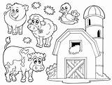 Bauernhof Ausmalbild Verschiedene Schule Malvorlage Kostenlose Hühner sketch template