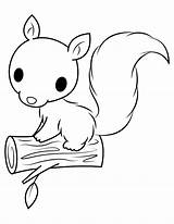 Squirrel Coloring Baby Log Pages Animal Printable sketch template