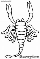 Coloring Scorpion Pages Scorpions Colouring Popular sketch template