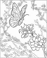 Kids Coloring Pages Garden Gardening Colouring Print sketch template