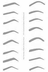 Eyebrow Printable Stencils Template Stencil Brow Eyebrows Make Shape Microblading Use Eye Print Shapes Practice Brows Templates Sheets Makeup Decided sketch template
