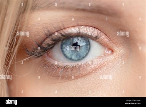 macro image  beautiful blue eye optic vision sight beauty concept