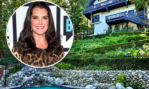 brooke shields puts stunning 35k a month pacific palisades spread up for rent again daily