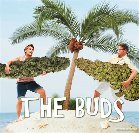 Seth Rogen And James Franco The Buds Weed Memes Weed Memes