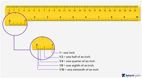 ruler definition types examples facts tyellocom