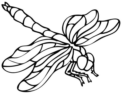 dragonfly outline drawing  getdrawings