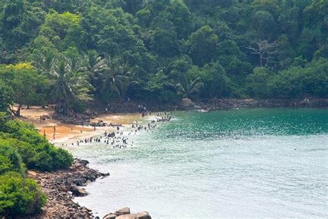 Calm And Serene Jungle Beach Amaya Resorts And Spas Blog