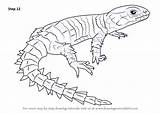 Lizard Draw Armadillo Step Girdled Drawing Reptiles Line Simple Make Getdrawings Learn sketch template