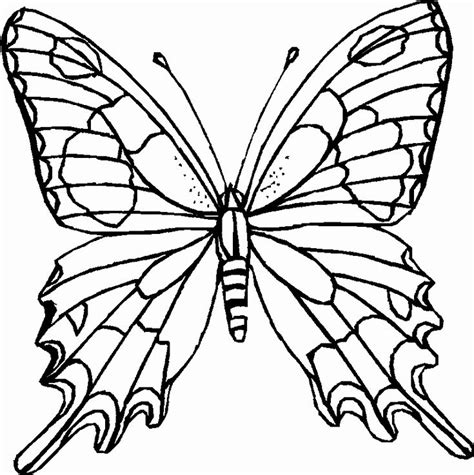 printable butterfly coloring pages elegant butterfly coloring