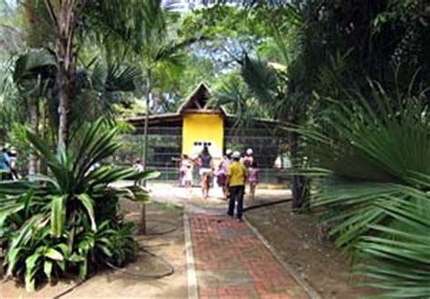 parke tropikal zoo curacao sightseeing curacao