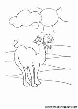 Desert Camel Coloring Please Print Handout Below Click Benscoloringpages sketch template