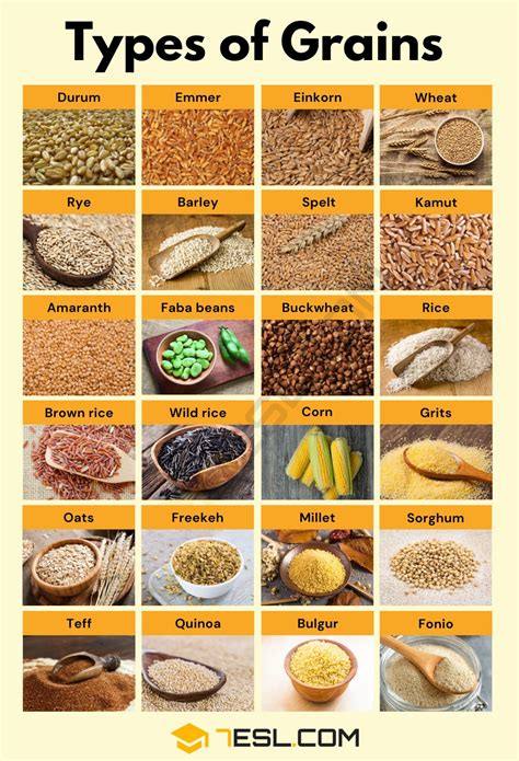 common types  grains  english    english