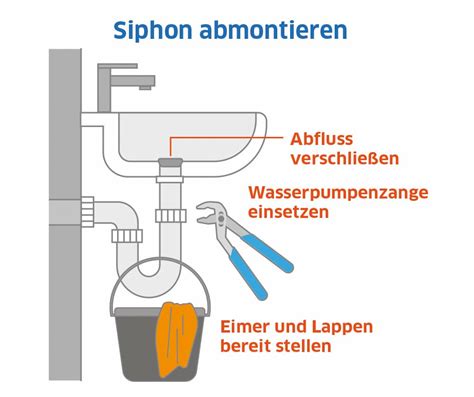 siphon austauschen einen siphon austauschen  gehts