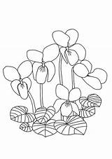 Coloring Ibolya Rajz Hu Pages Omalovanka Spring Kvety Embroidery Sheets Patterns Flower Hand Flowers Visit доску выбрать источник Google Tavasz sketch template