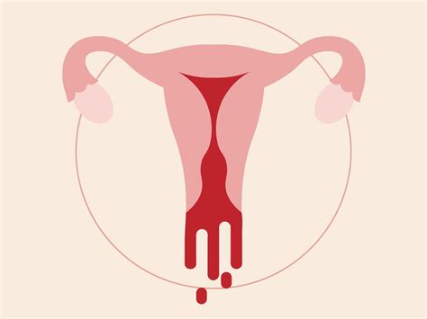 What Exactly Is A Heavy Period And How To Tell If You Have Them – Sheknows