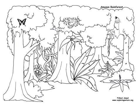 rainforest coloring pages  kids  getdrawings