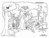 Rainforest Coloring Pages Kids Tropical Print Getdrawings sketch template