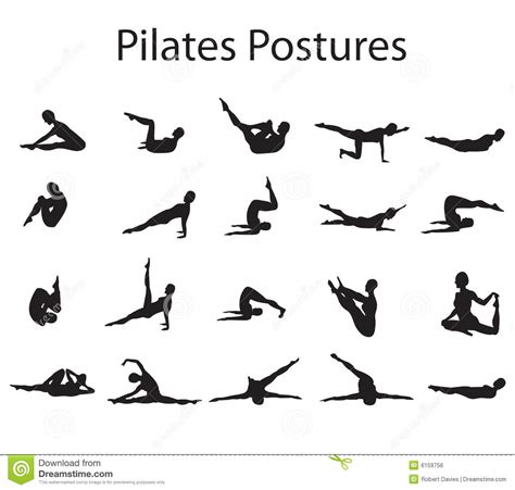 pilates postures positions stock vector image of postures