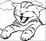 Coloring Cat Pages Cute Kitty Cats Yawning Fat Printable Adult Kids Print Color Colouring Kitten Animal Sheets Kawaii Little Nyan sketch template