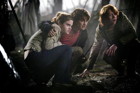 when harry got protective of hermione after they saw the dark mark at