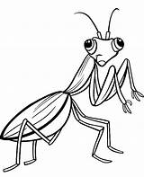 Coloring Insect Mantis Cricket Cartoon Drawing Wall Praying Mural Template Colouring Getdrawings Pixers sketch template