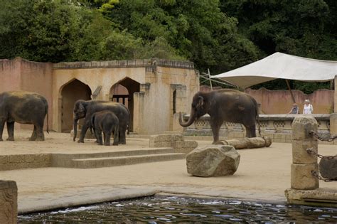 dschungelpalast erlebnis zoo hannover freizeitpark weltde