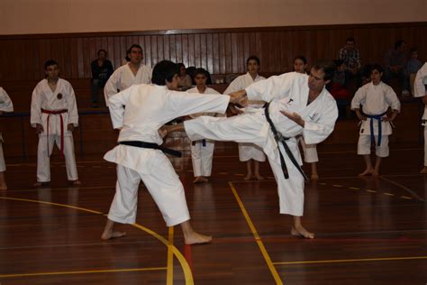 dfa desporto e formação açores iii estÁgio regional karate