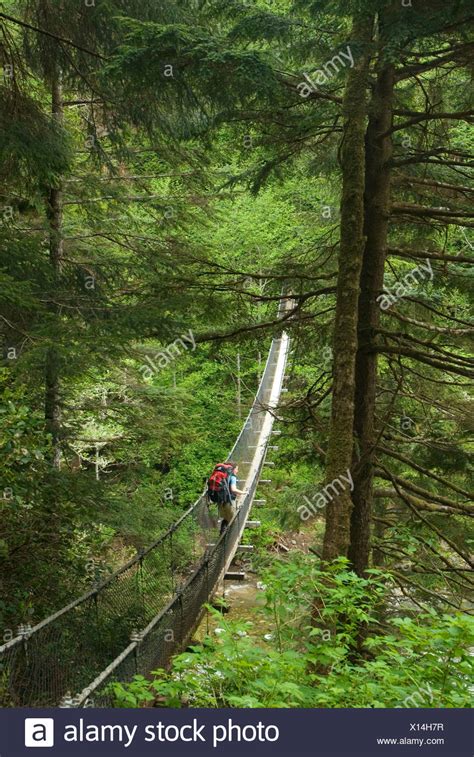 crossing the logan creek suspension bridge west coast trail pacific rim national park reserve