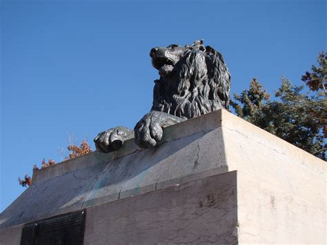 denver colorado downtown area lion statue  civic park