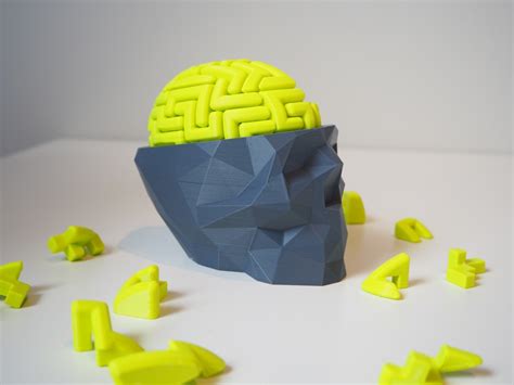 model   week  brain puzzle  poly skull  thinks solidsmack