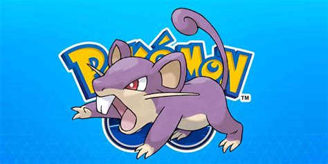 today  rattata spotlight hour  pokemon  bonus event