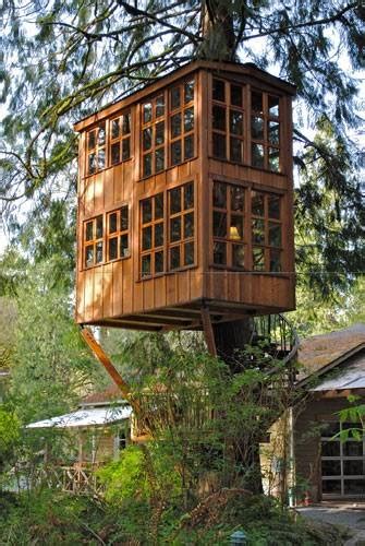 tree house design ideas  fill backyards  fun