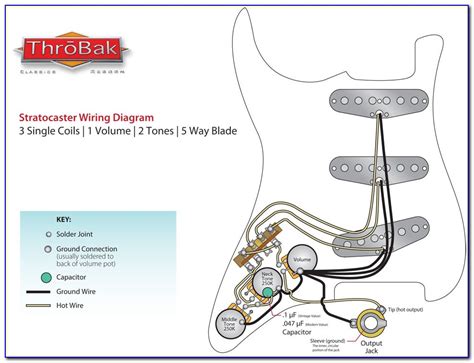 stratocaster wiring diagram   switch prosecution