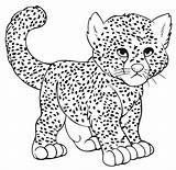 Cheetah K5 K5worksheets Colouring Cute sketch template