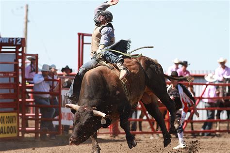 ponoka stampede brings rodeo fun to central alberta red deer advocate