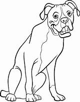 Boxer Dog Coloring Cartoon Pages Book Illustration Drawing Vector Stock Funny Wall Clipart Color Drawings Face Getdrawings Line Print sketch template