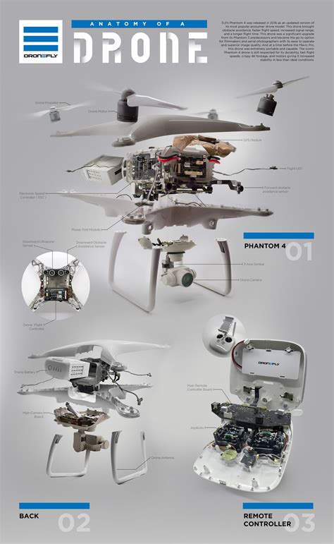 anatomy   drone infographic