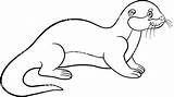 Otter Drawing Cute Coloring Clipartmag sketch template