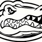 Logo Florida Gators Gator Svg Stencil Cricut Football Silhouette Dxf Coloring Crocodile College Uf Stencils Crafts Choose Board sketch template