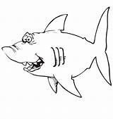 Sharks sketch template