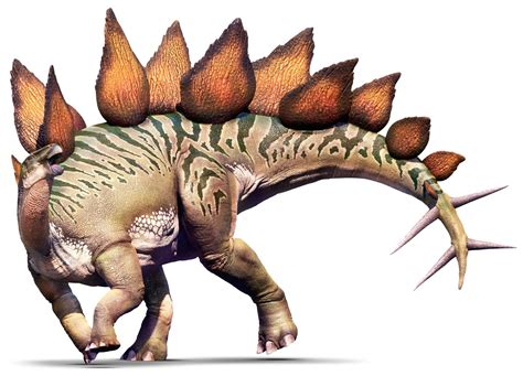 stegosaurus dinopedia   dinosaur encyclopedia