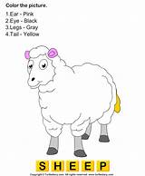 Sheep Worksheet Worksheets Coloring Answer Animals sketch template