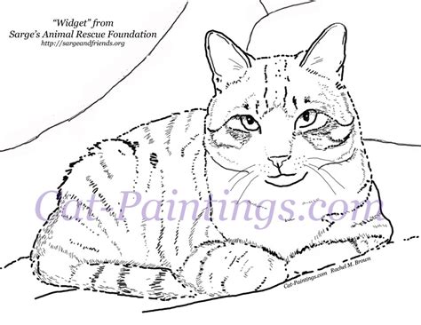 coloring page printout  tabby cat cat coloring page tabby