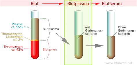blutplasma blut mit gerinnungsfaktoren